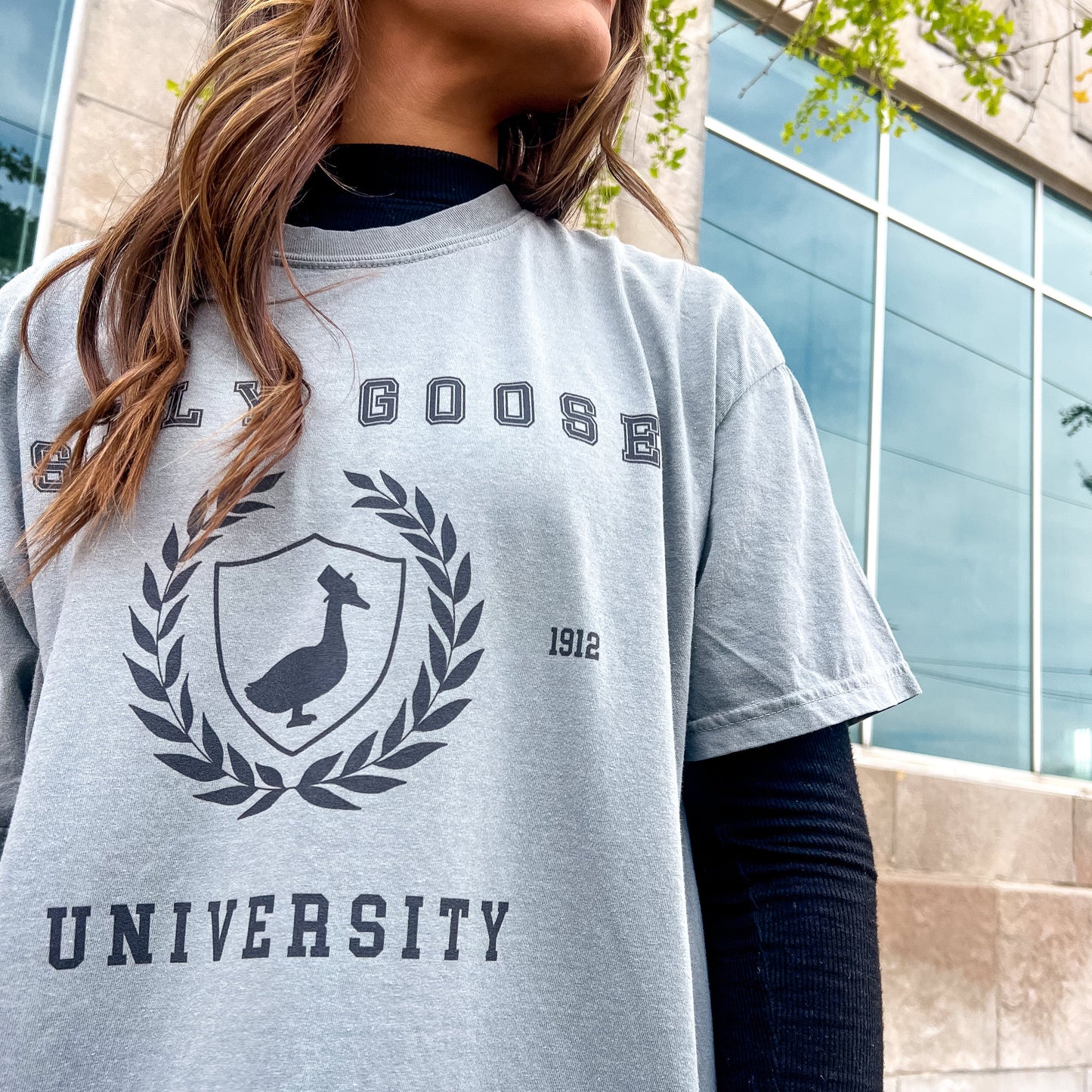 Comfort Colors Silly Goose University Graphic Tee